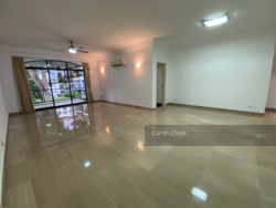 Tanglin Park (D10), Condominium #298329971